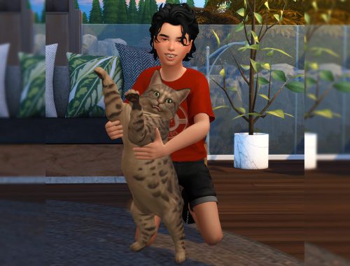 Adorable cat (Pose pack)
