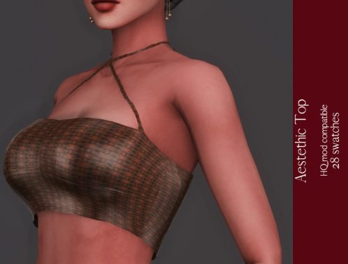 Aestethic Top