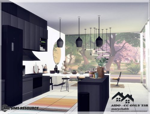 AIDO - CC only TSR