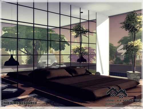 AIDO - CC only TSR