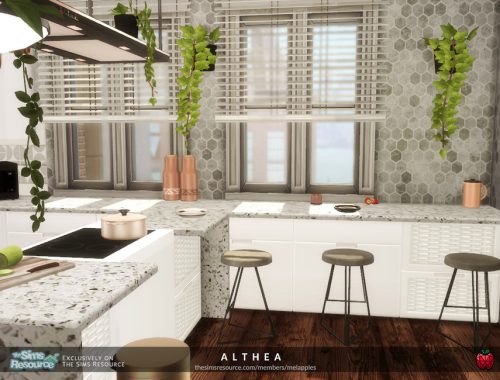 Althea - kitchen