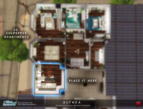 Althea - kitchen