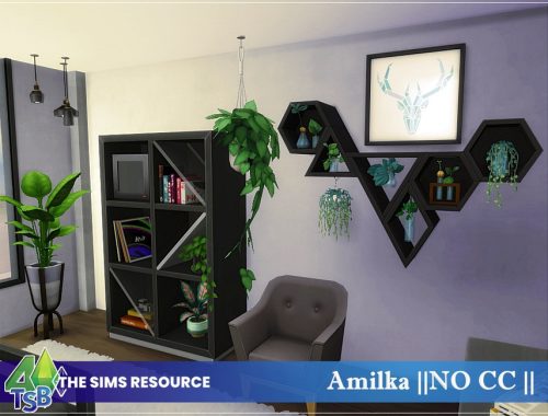 Amilka || NO CC ||