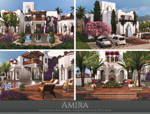 Amira