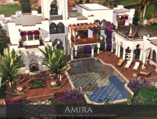 Amira