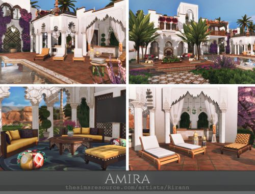 Amira