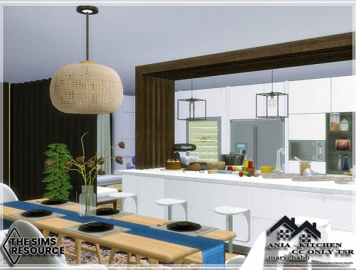 ANIA - Kitchen - CC only TSR