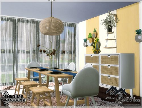 ANIA - Kitchen - CC only TSR