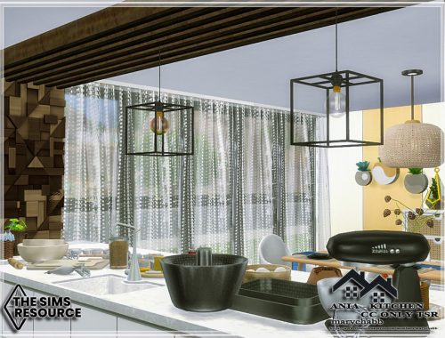 ANIA - Kitchen - CC only TSR