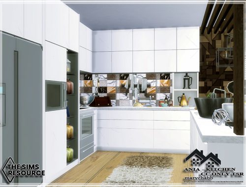 ANIA - Kitchen - CC only TSR