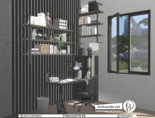 Anthracite set part 2: Clutter