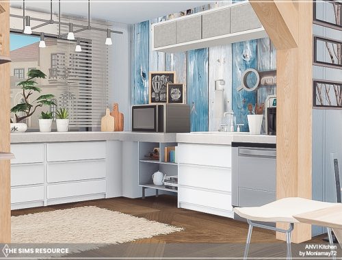 Anvi Kitchen
