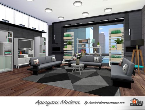Apinyani Modern NoCC