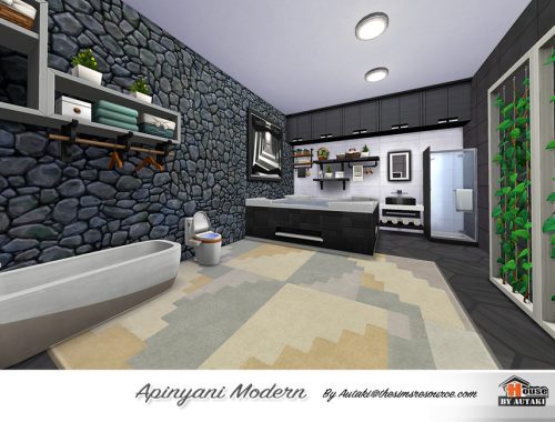 Apinyani Modern NoCC