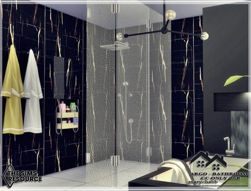 ARGO - Bathroom - CC only TSR