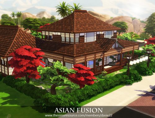 Asian Fusion