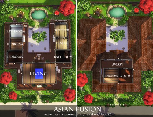 Asian Fusion
