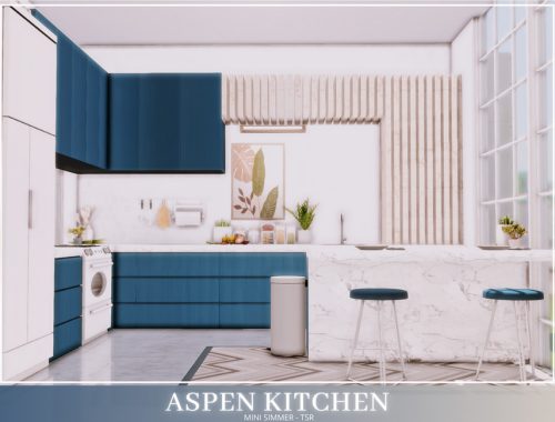 Aspen Kitchen