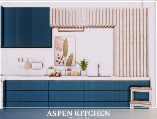 Aspen Kitchen