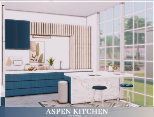 Aspen Kitchen