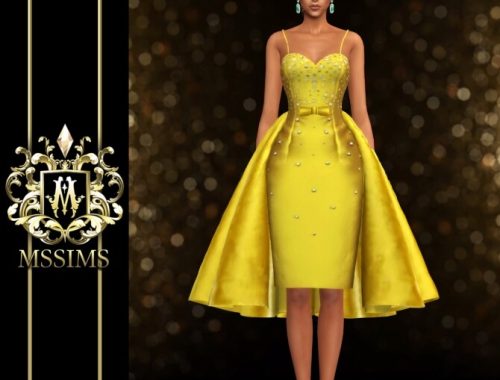 AT LAST DRESS at MSSIMS