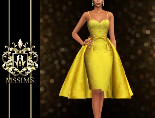 AT LAST DRESS at MSSIMS
