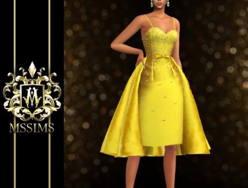 AT LAST DRESS at MSSIMS