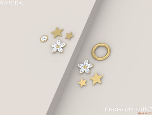 Aurora Earrings / Christopher067