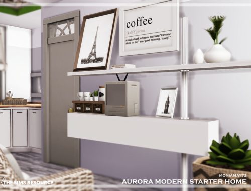 Aurora Modern Starter Home