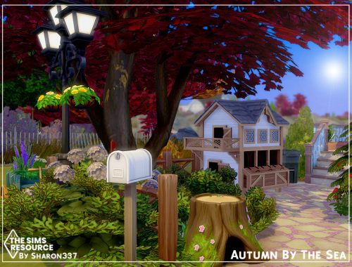 Autumn By The Sea - Nocc