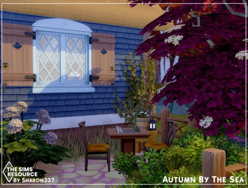 Autumn By The Sea - Nocc