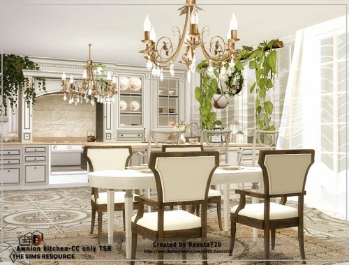 Awnion kitchen-CC only TSR