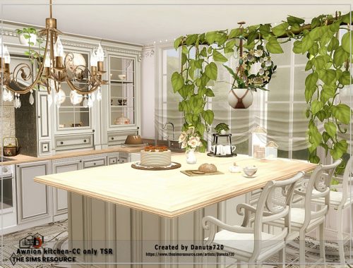 Awnion kitchen-CC only TSR