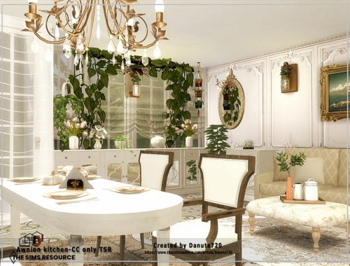 Awnion kitchen-CC only TSR