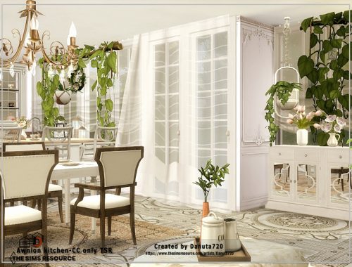Awnion kitchen-CC only TSR