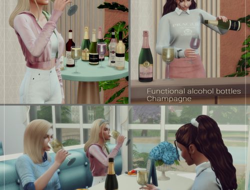 FUNCTIONAL CHAMPAGNE BOTTLES