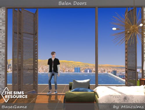 Balen Doors