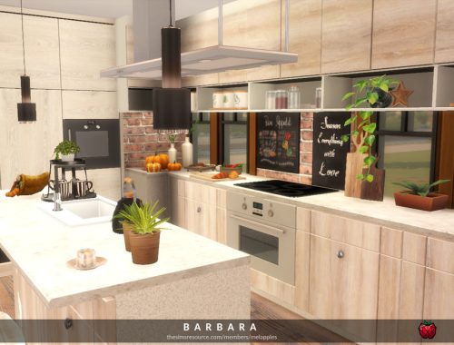 Barbara - kitchen