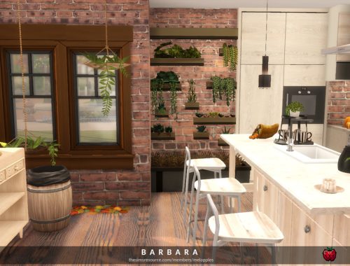 Barbara - kitchen