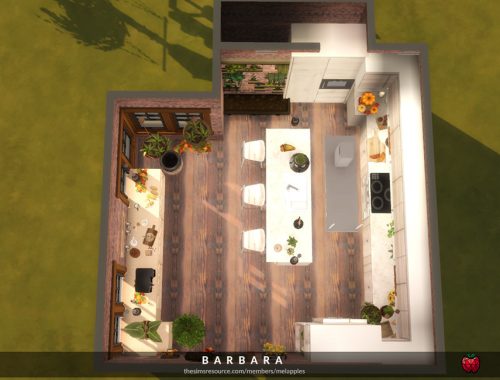 Barbara - kitchen