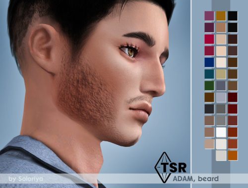 Beard Adam