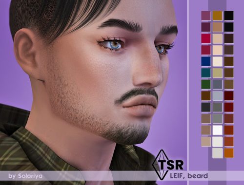 Beard Leif