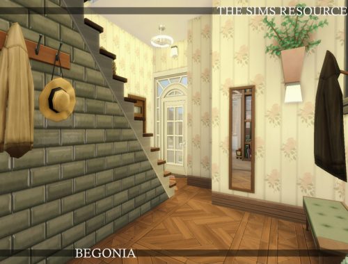 Begonia Family House | noCC