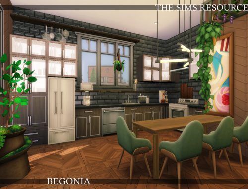 Begonia Family House | noCC