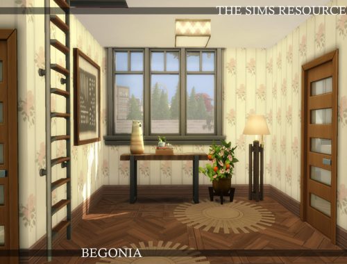 Begonia Family House | noCC