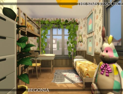 Begonia Family House | noCC