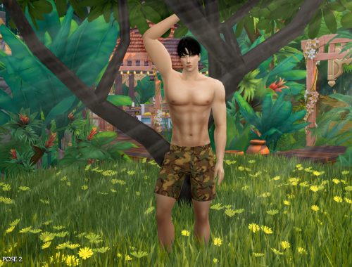Bj IV (Pose pack)