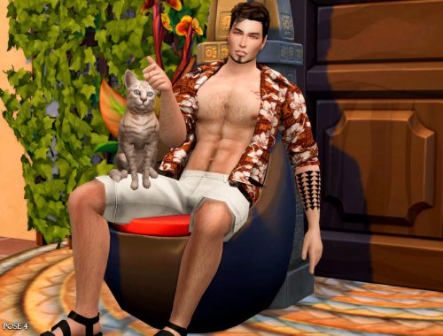 Bj IV (Pose pack)