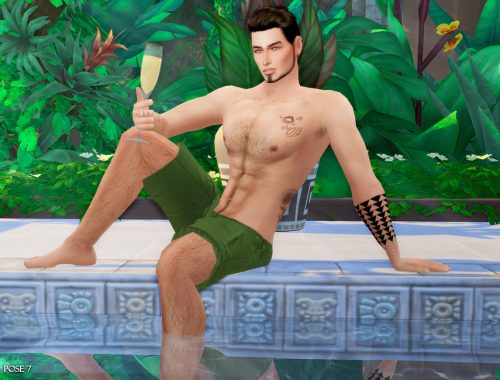 Bj IV (Pose pack)