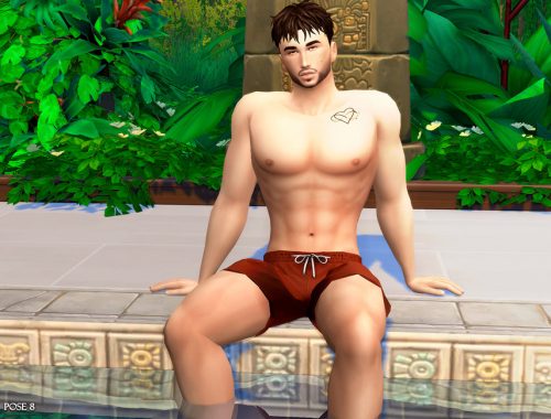 Bj IV (Pose pack)
